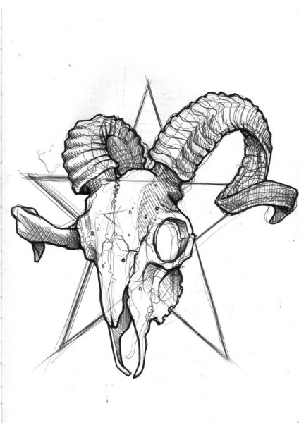 Череп козла эскиз сбоку