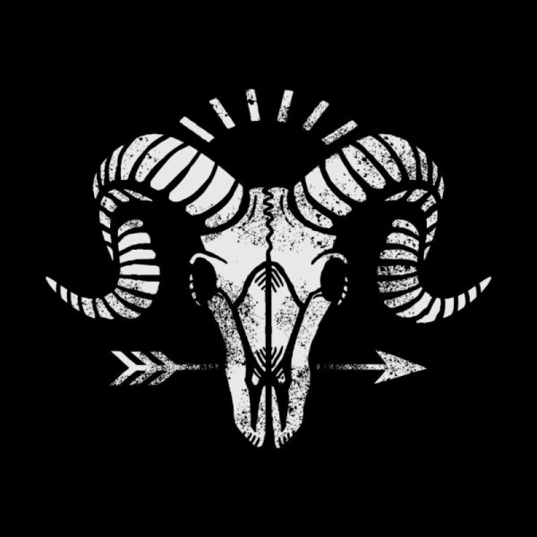 Череп барана