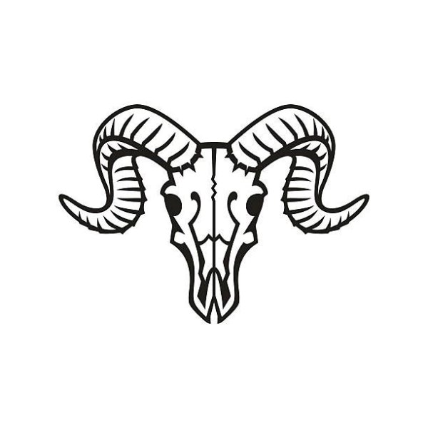 Череп барана контур