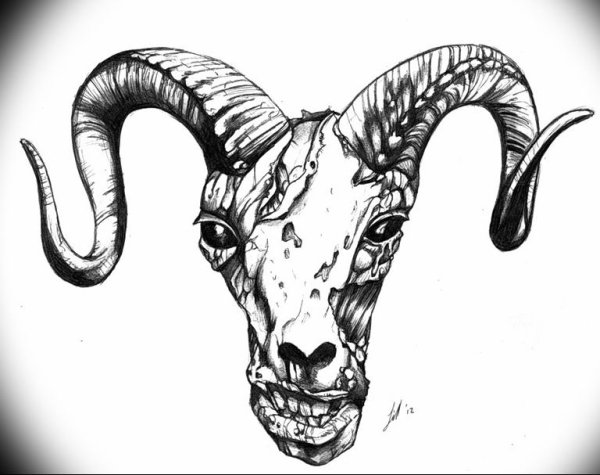 Козел эскиз