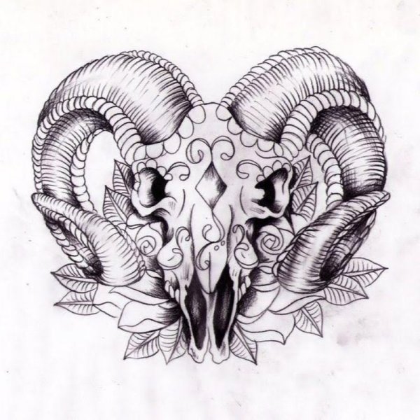 Тату дотворк череп козла