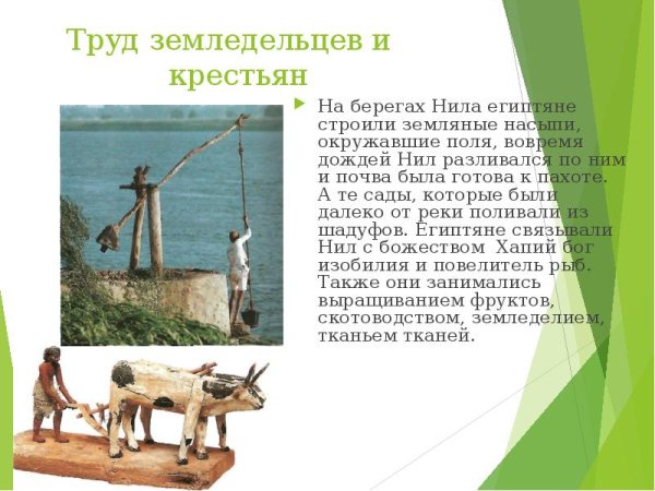 Труд египетских земледельцев шадуфы