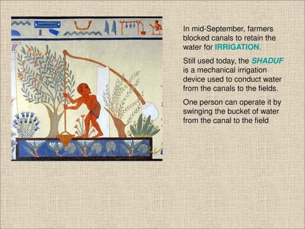 Шадуф описание