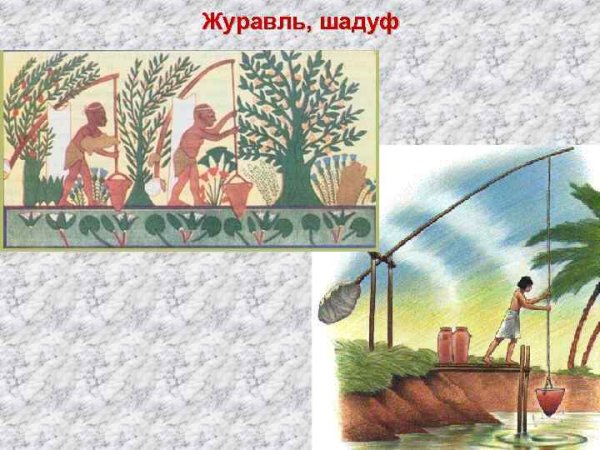 Шадуф в древнем Египте
