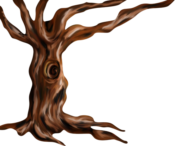 Зарисовка ствола дерева