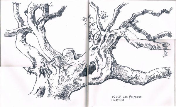 Сухие деревья Графика