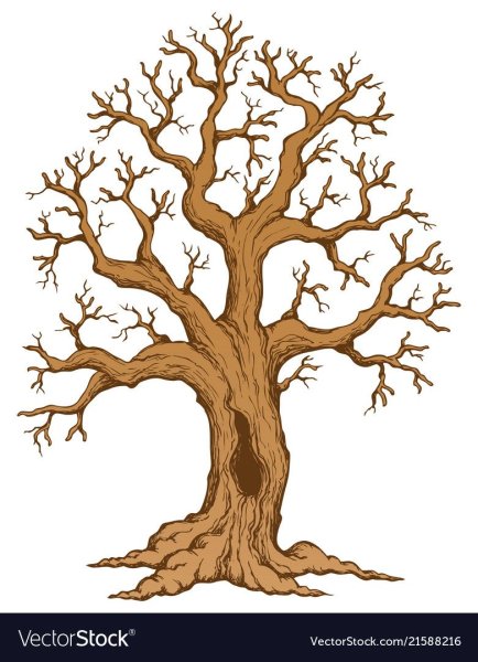 Ствол дерева для вырезания