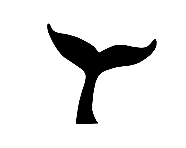 Хвост кита вектор