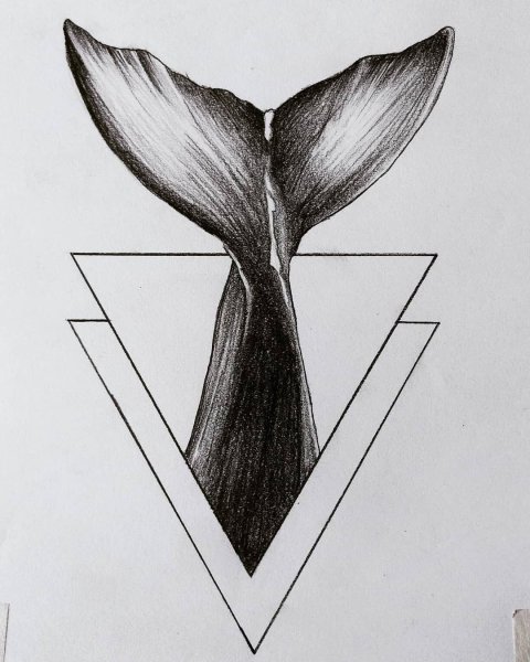 Тату хвост кита