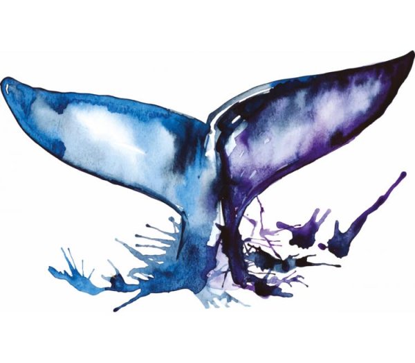 Хвост кита акварель
