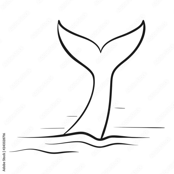 Хвост кита Графика