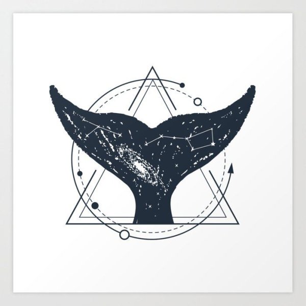 Хвост кита Графика