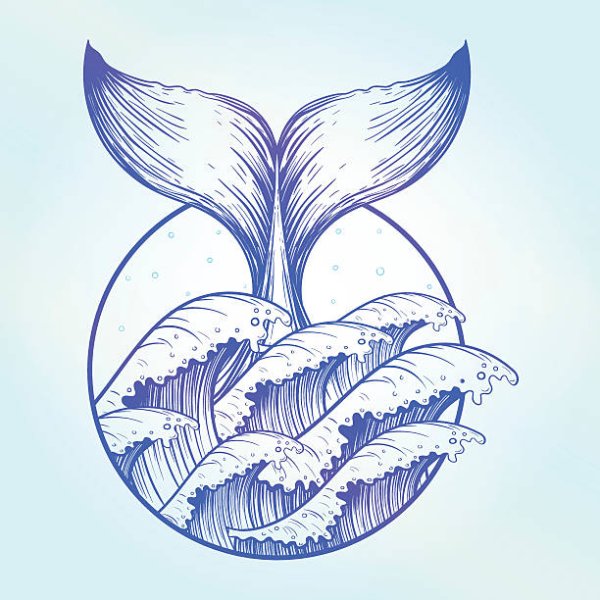 Хвост кита символ