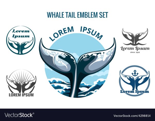 Хвост кита вектор логотип