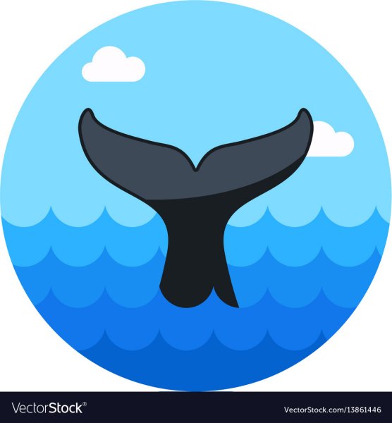 Хвост кита лого