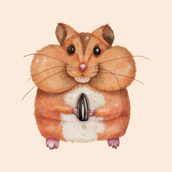 Нарисовать хомяка