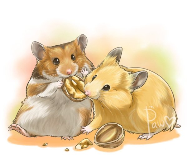 Хомячок для детей