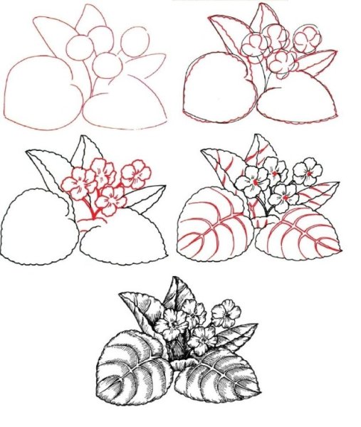 Поэтапное рисование фиалки для детей