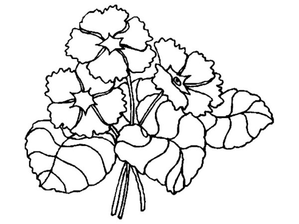 Рисование фиалка в горшке