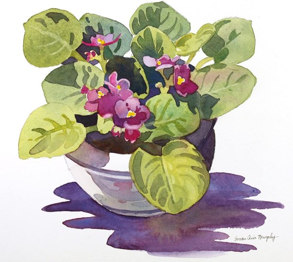 Поэтапное рисование комнатного цветка в горшке