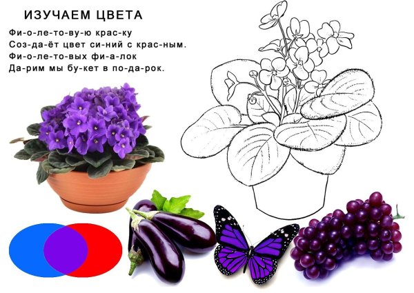 Горшок для цветов раскраска