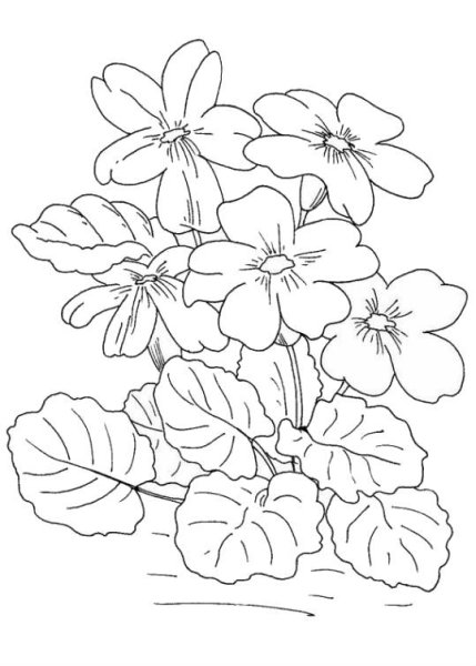 Цветок в горшке акварелью