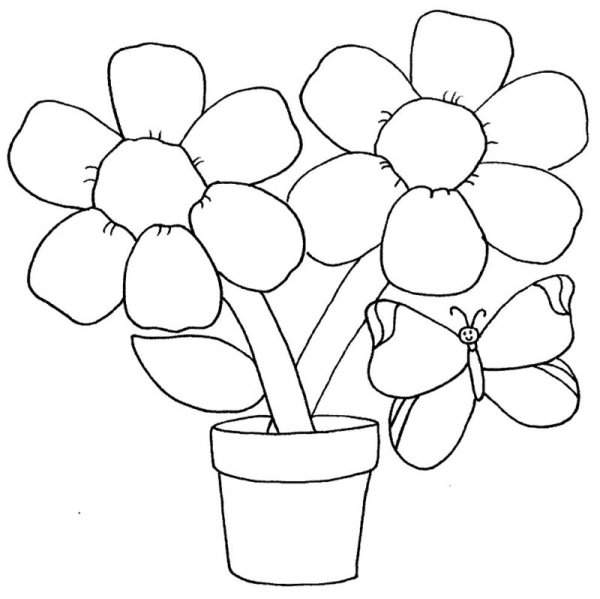 Рисование для детей комнатные растения