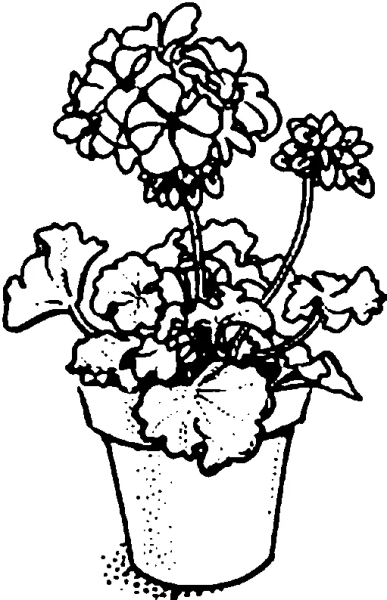 Мультяшные цветочки в горшке