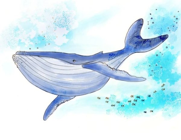 Рисуем кита