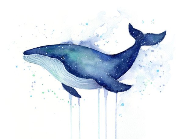 Иллюстрации акварелью киты