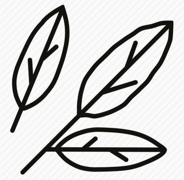 Лавровый лист трафарет
