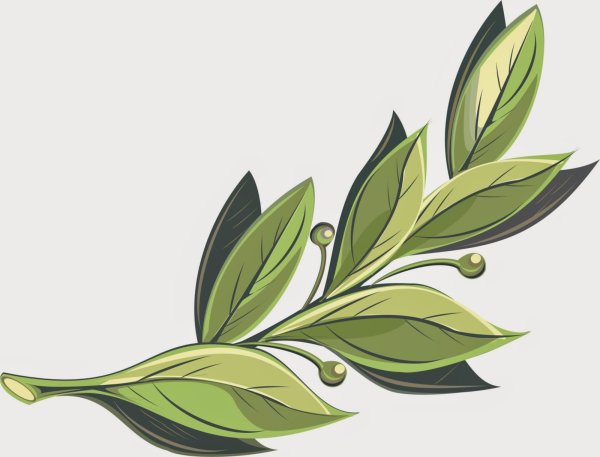 Лавровая веточка
