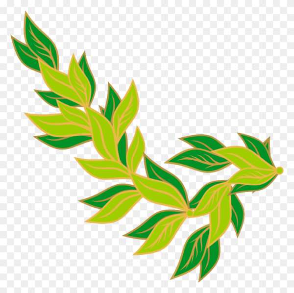 Лавровая ветвь лаврушка