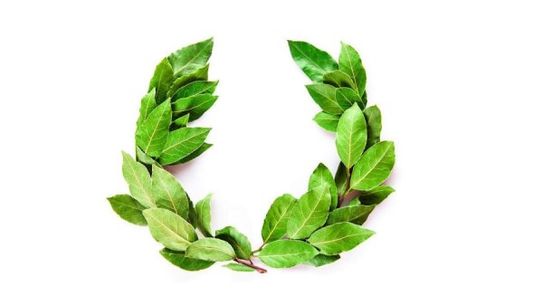 Венок из лавровых листьев