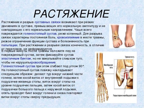 Капсульно связочный аппарат голеностопа