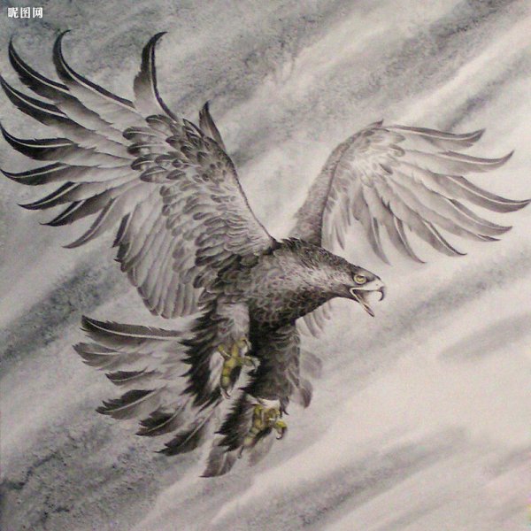 Орел в полете Графика