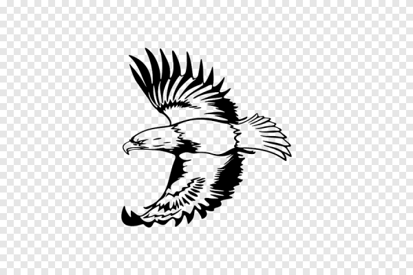 Векторное изображение орла