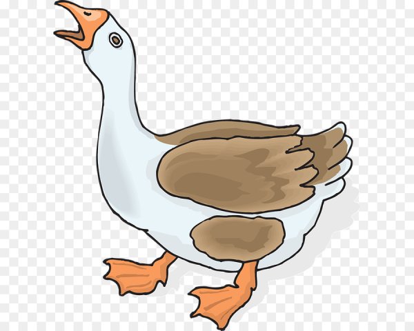 Гусь рисунок