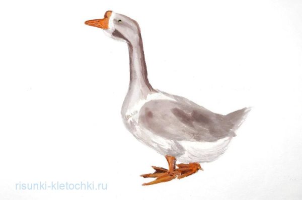 Гусыня Гусак карточка для ребенка