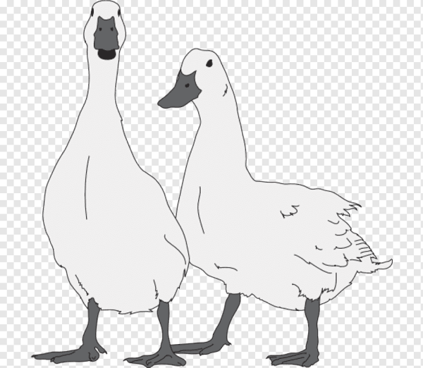 Гусь нарисованный