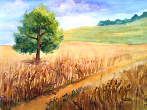 Нарисовать поле с пшеницей