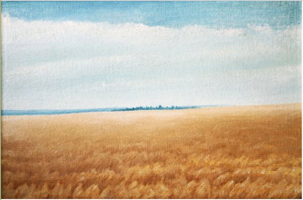 Поле карандашом