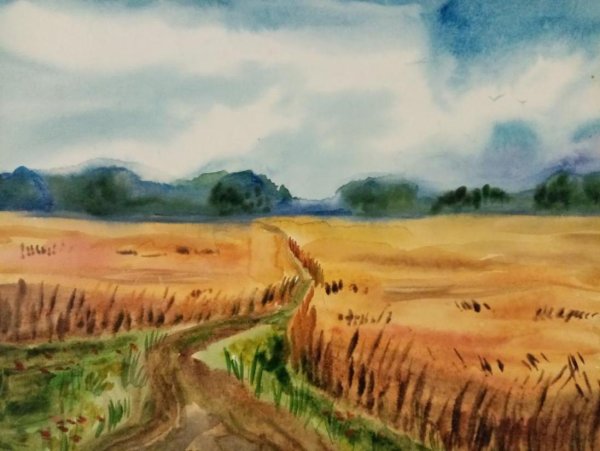 Конкурс рисунков русское поле