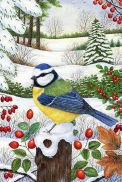 Сара Саммерс птички картины