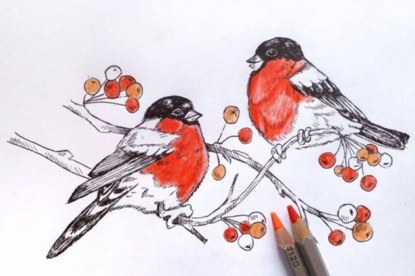 Снегири в живописи