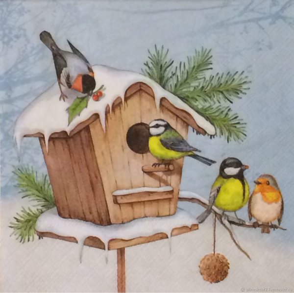 Птицы Кардинал и свиристель