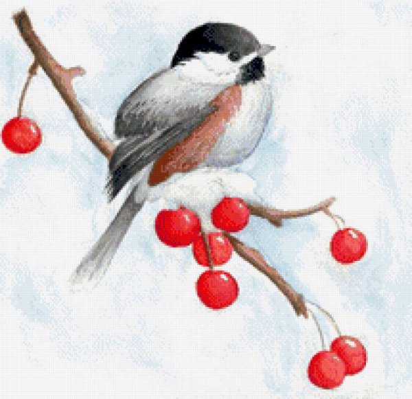 Елизавета Мелкозерова птички