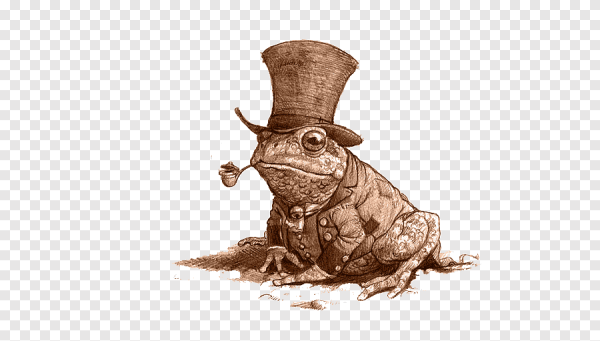 Goblincore жабки