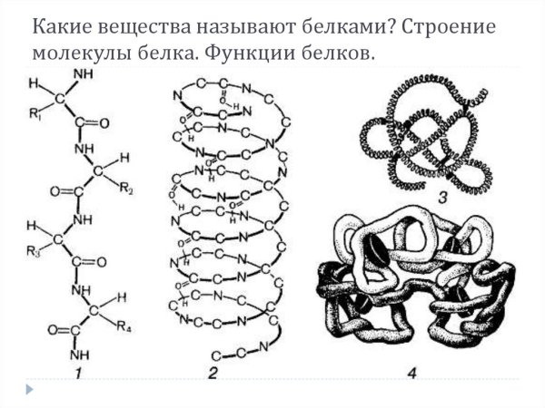 Молекула белка в первичной структуре