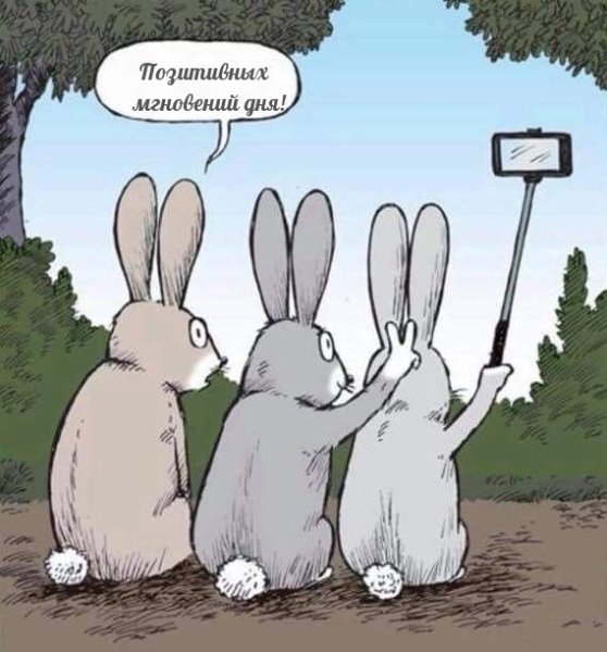 Надпись заяц